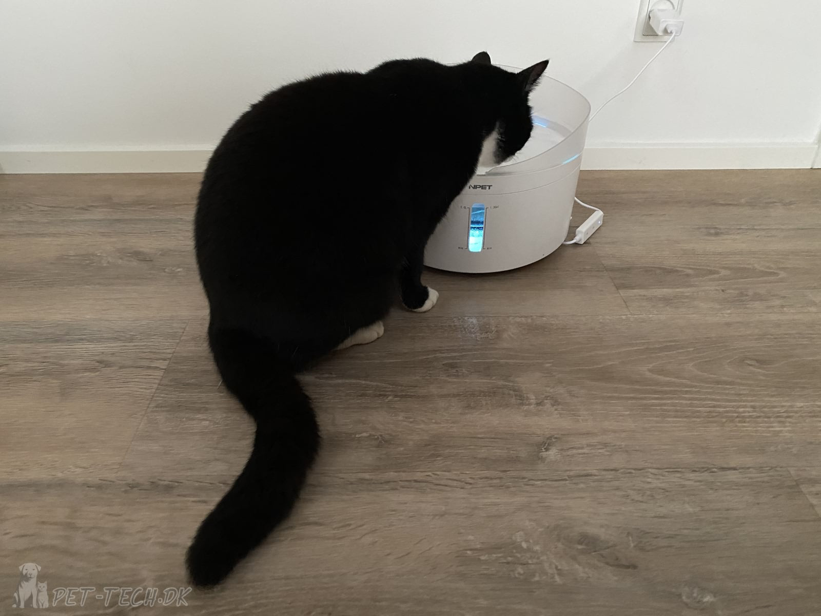 5L Drikkefontæne til Katte og Hunde - Bluelight