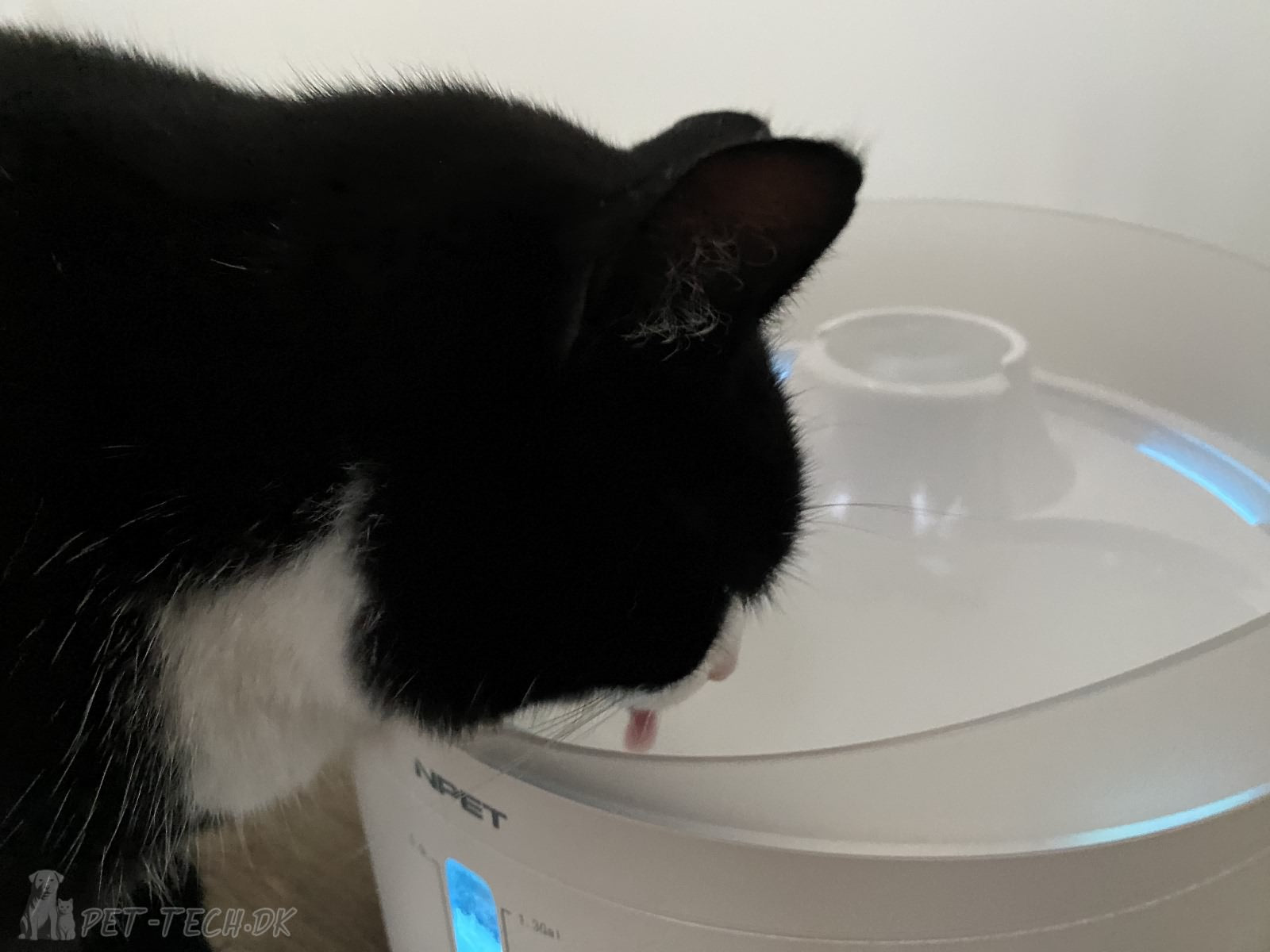 5L Drikkefontæne til Katte og Hunde - Bluelight