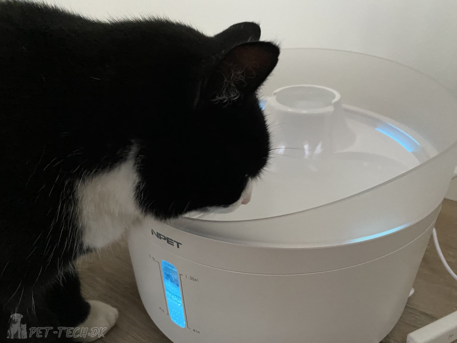 5L Drikkefontæne til Katte og Hunde - Bluelight