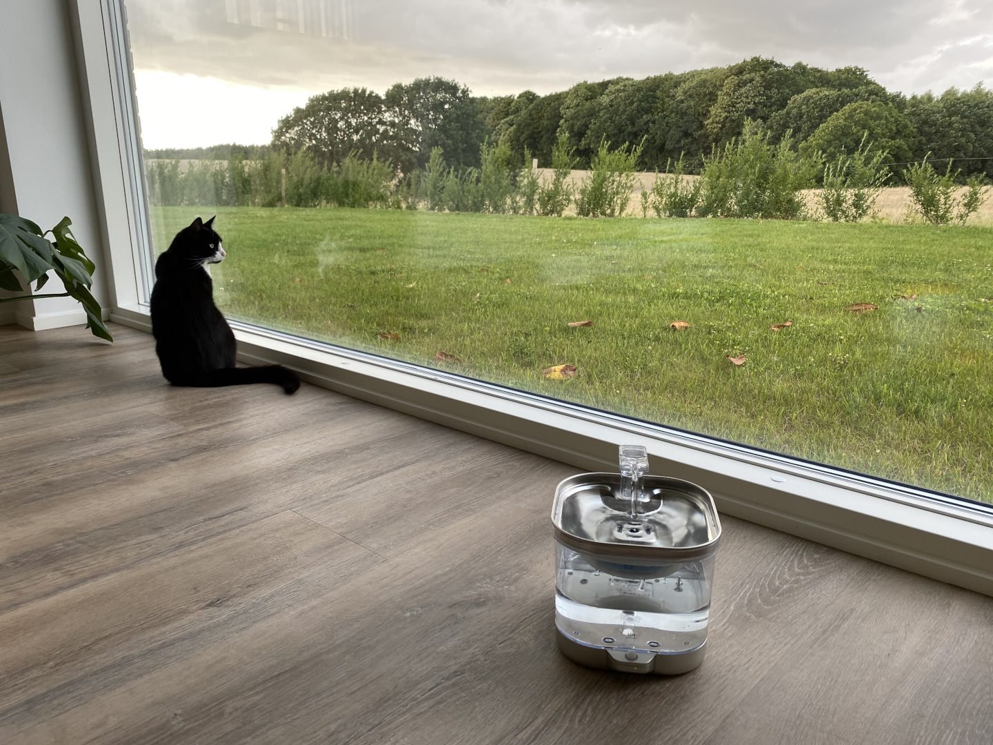 Luksus drikkefontæne med bevægelses sensor til katte og hunde