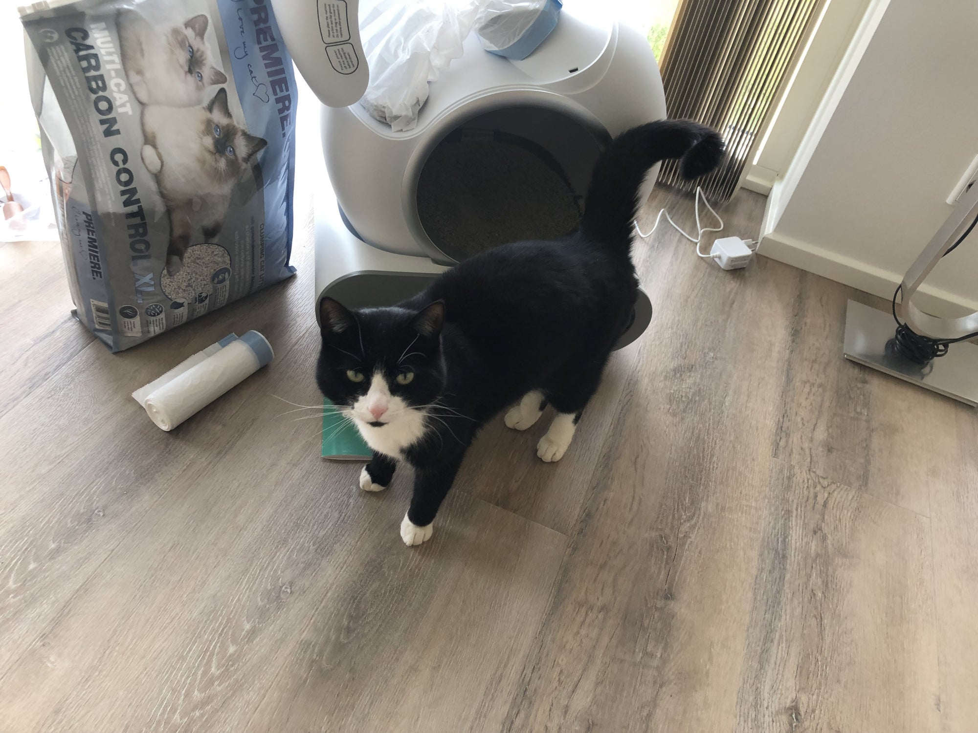 Kat der står foran et selvrensende kattetoilet