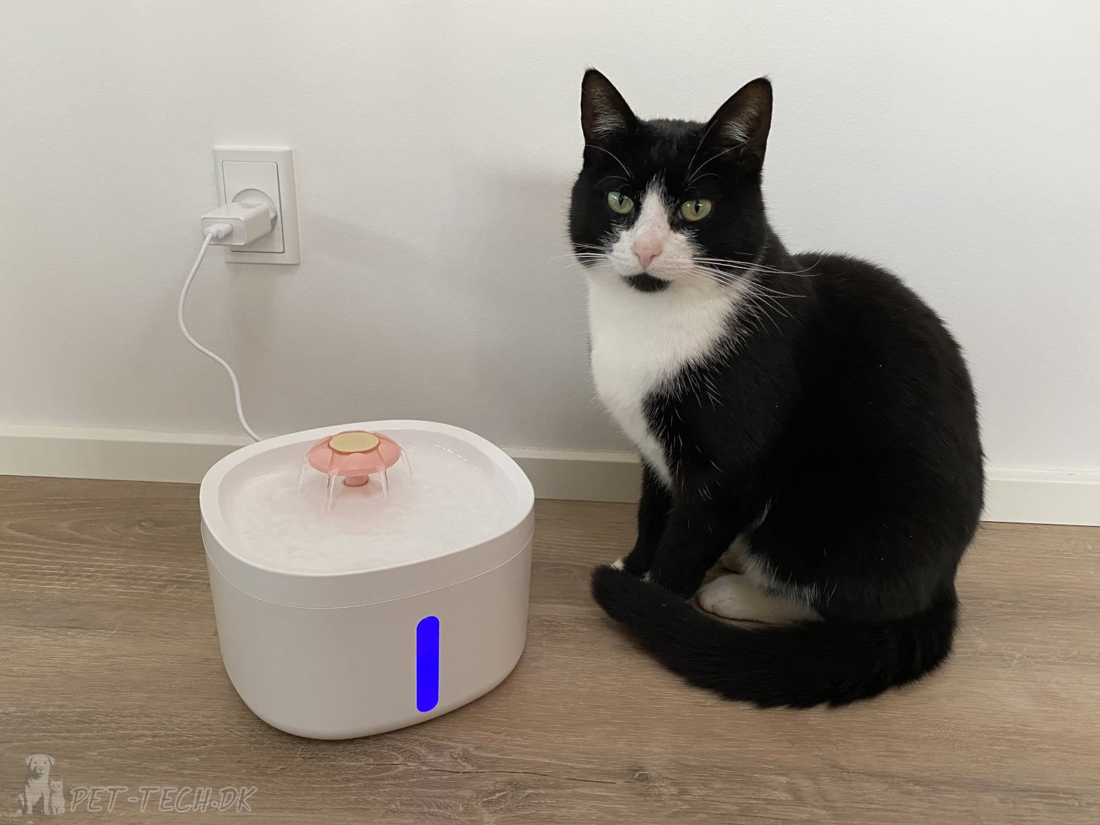 Rose Drikkefontæne til Katte og Mindre Hunde - rigtig god pris