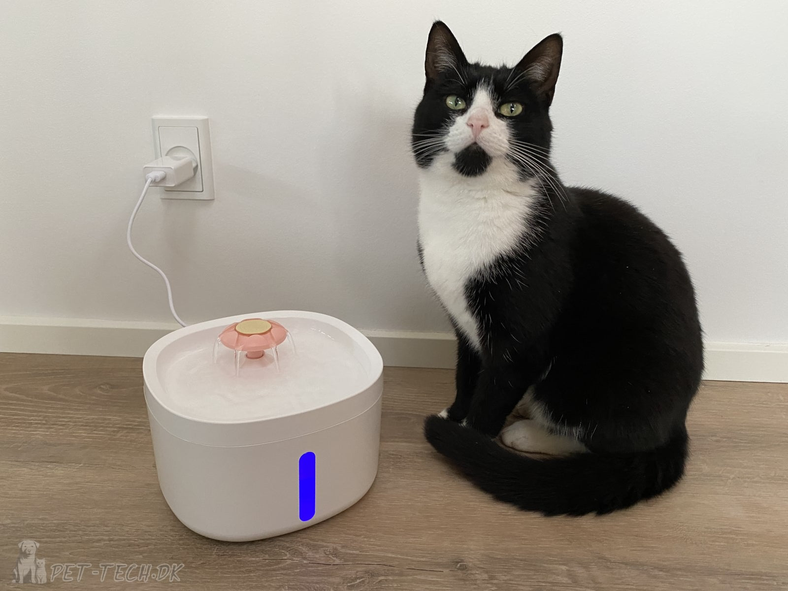 Drikkefontæne til Katte og Hunde - Rose