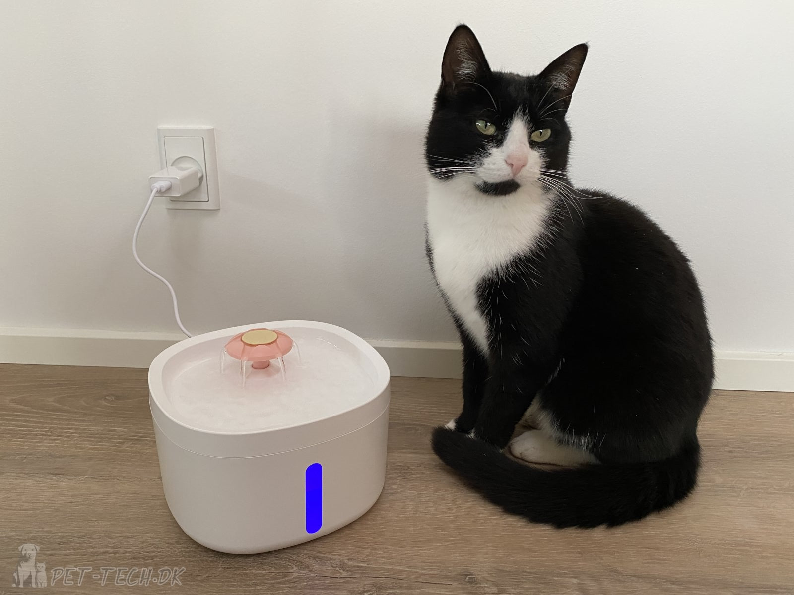 2L Drikkefontæne til Katte og Hunde - Rose