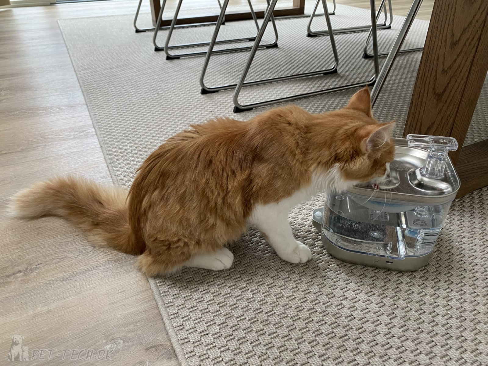 Drikkefontæne til katte og mindre hunde - lækkert design med batteri og PIR sensor