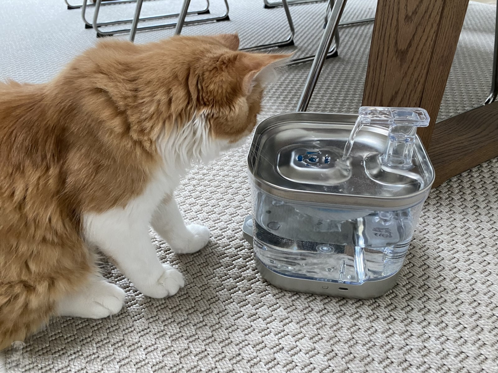 Drikkefontæne til katte og mindre hunde - lækkert design med batteri og PIR sensor