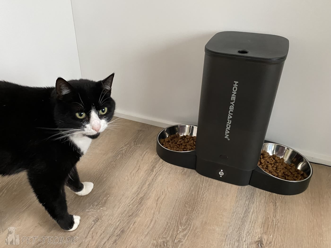Foderautomat 5L med app til katte og mindre hunde