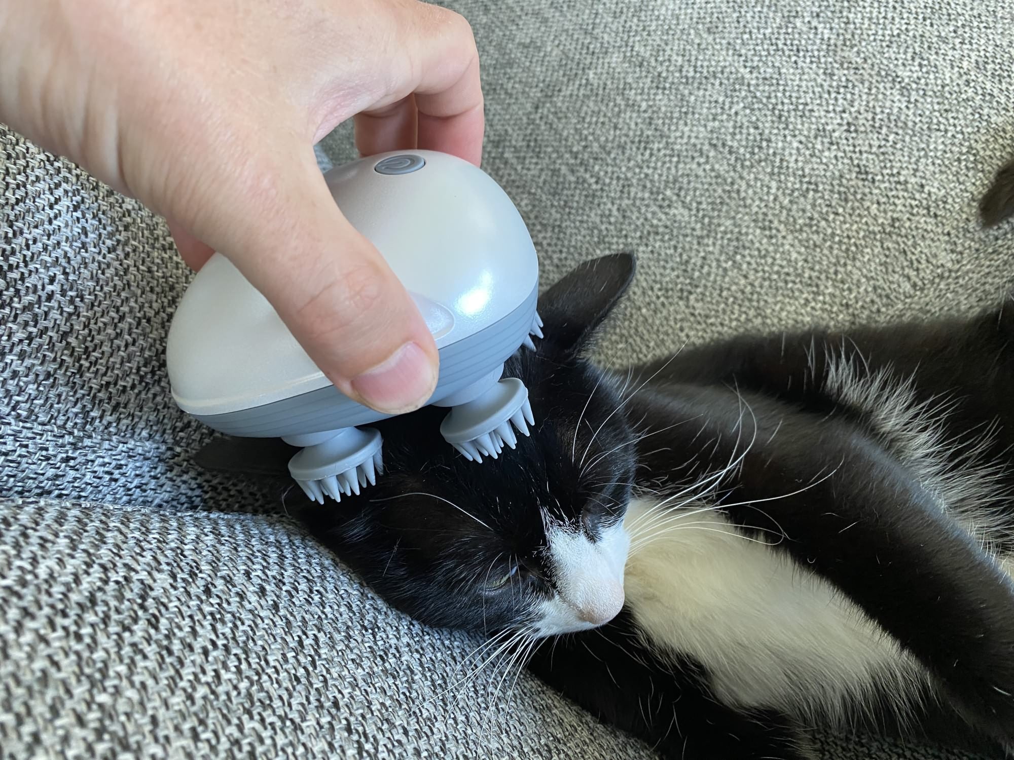 Smart elektrisk massage apparat til katte og hunde