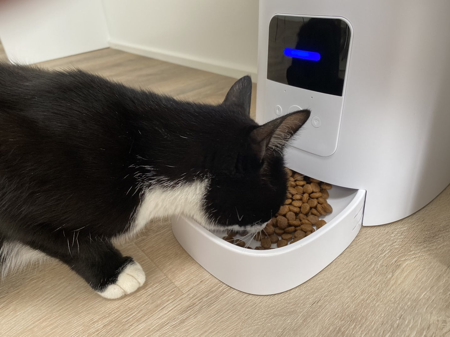 Luksus Foder Automat til Katte og Hunde med App og Speaker