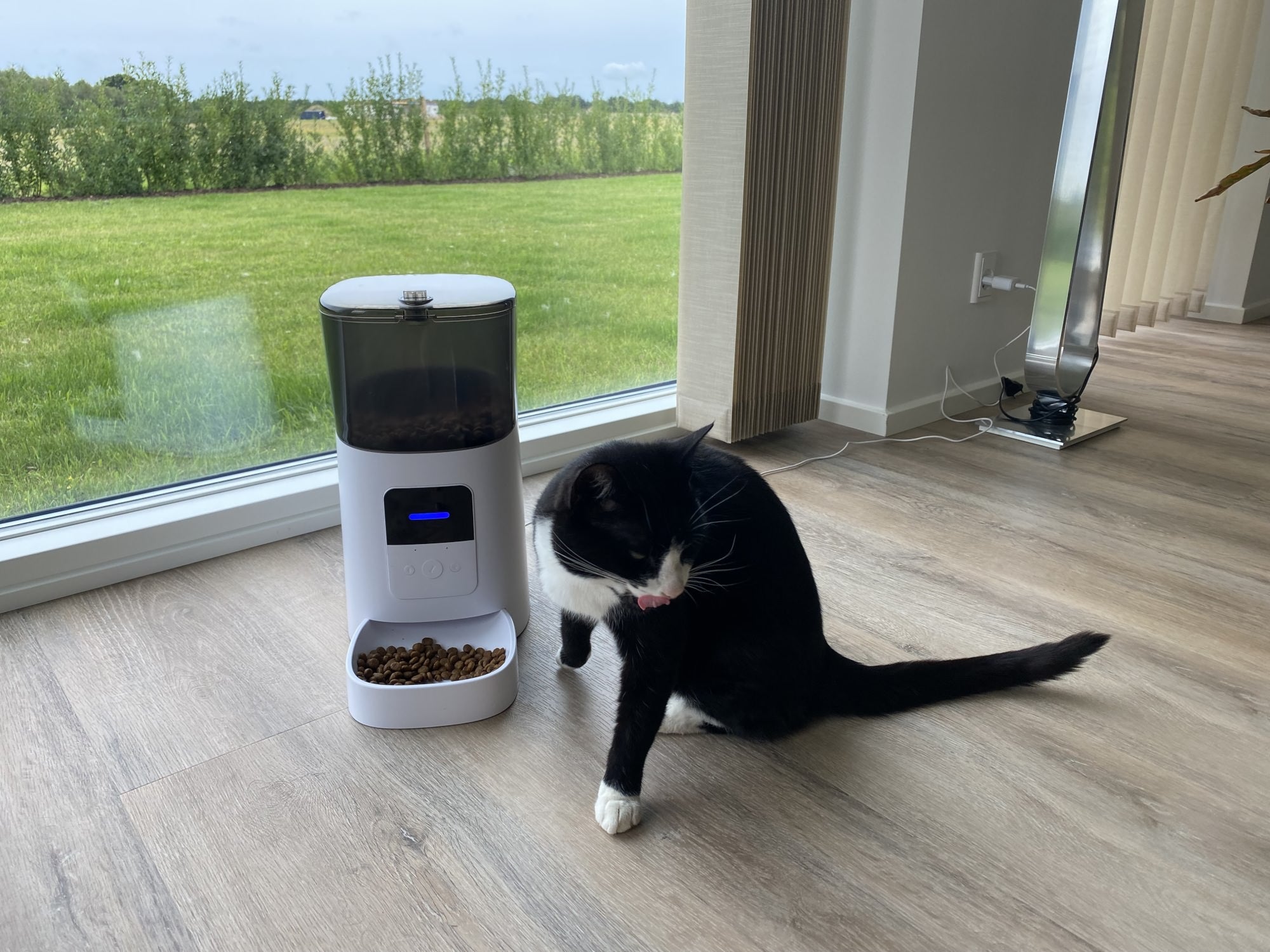 Foderautomat til katte og mindre hunde - katten sidder ved automaten