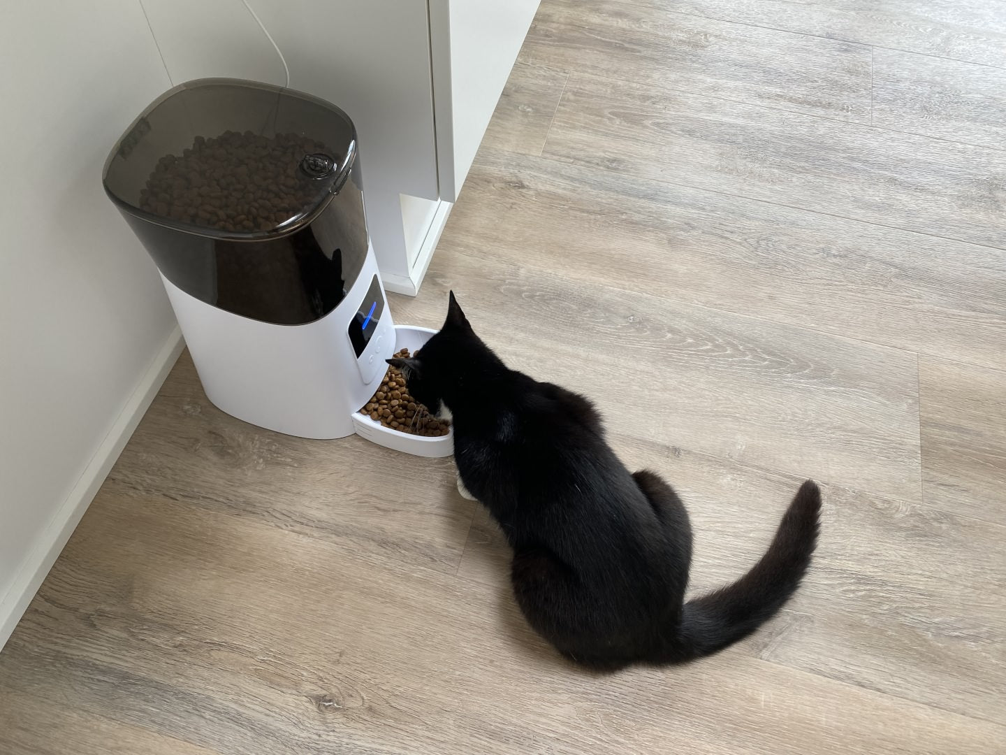 Foderautomat til katte og hunde med app styring og højtaler