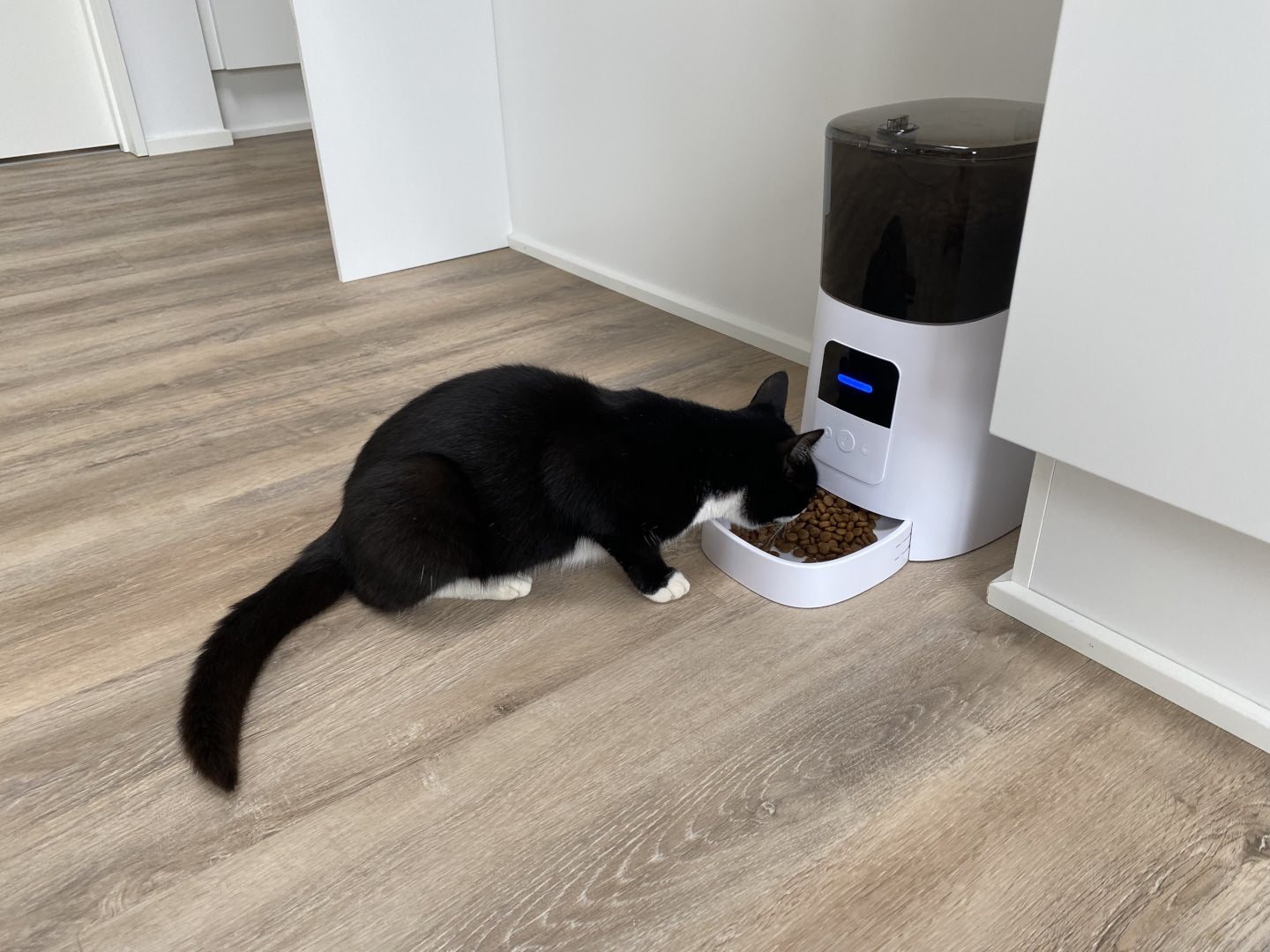 Foderautomat til katte og hunde med app styring og højtaler
