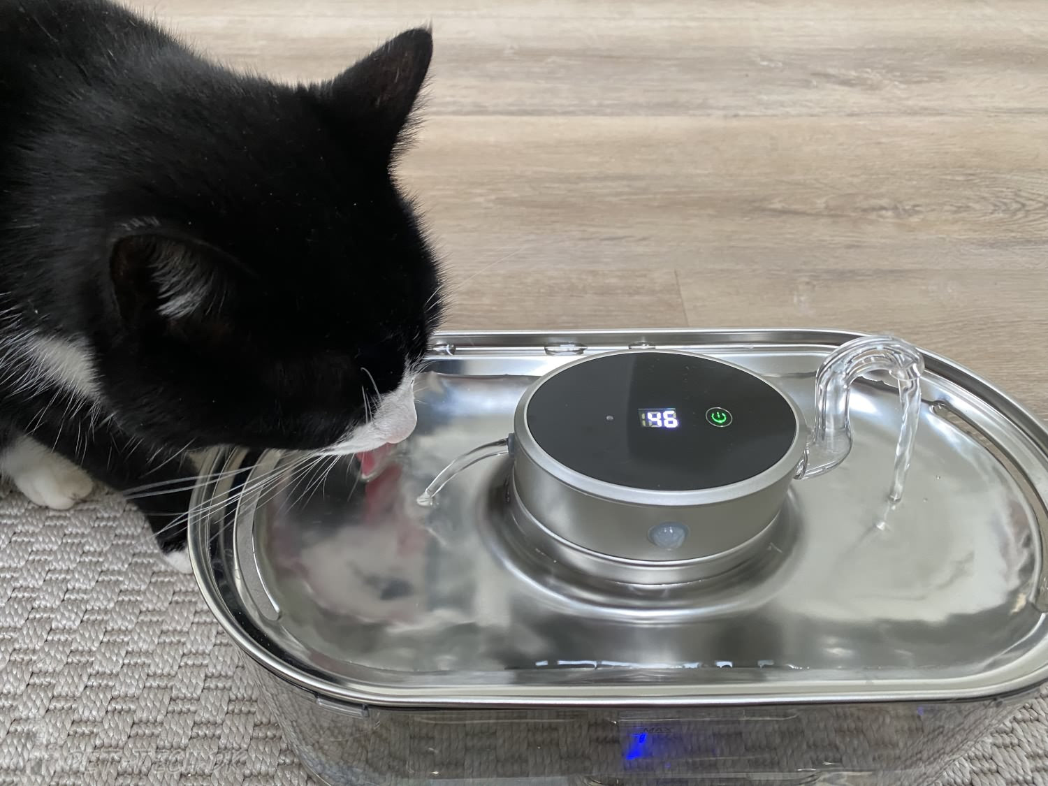 Stor ledningsfri drikkefontæne til katte og mindre hunde 3 liter