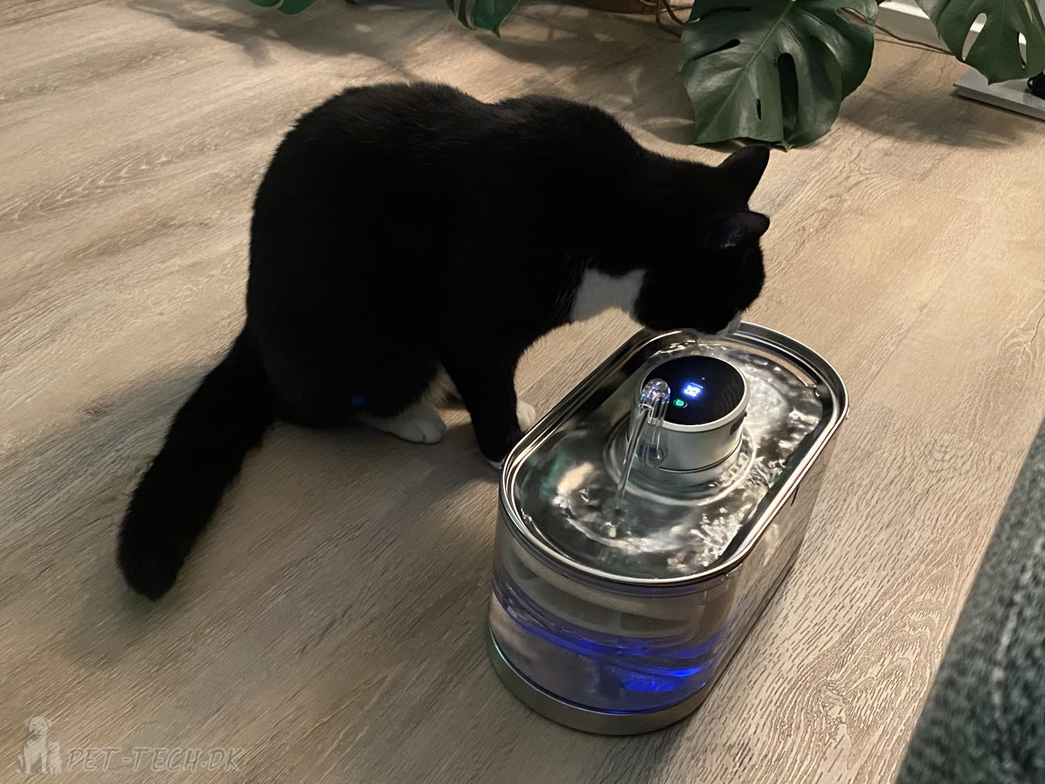 Stor ledningsfri drikkefontæne til katte og mindre hunde 3 liter