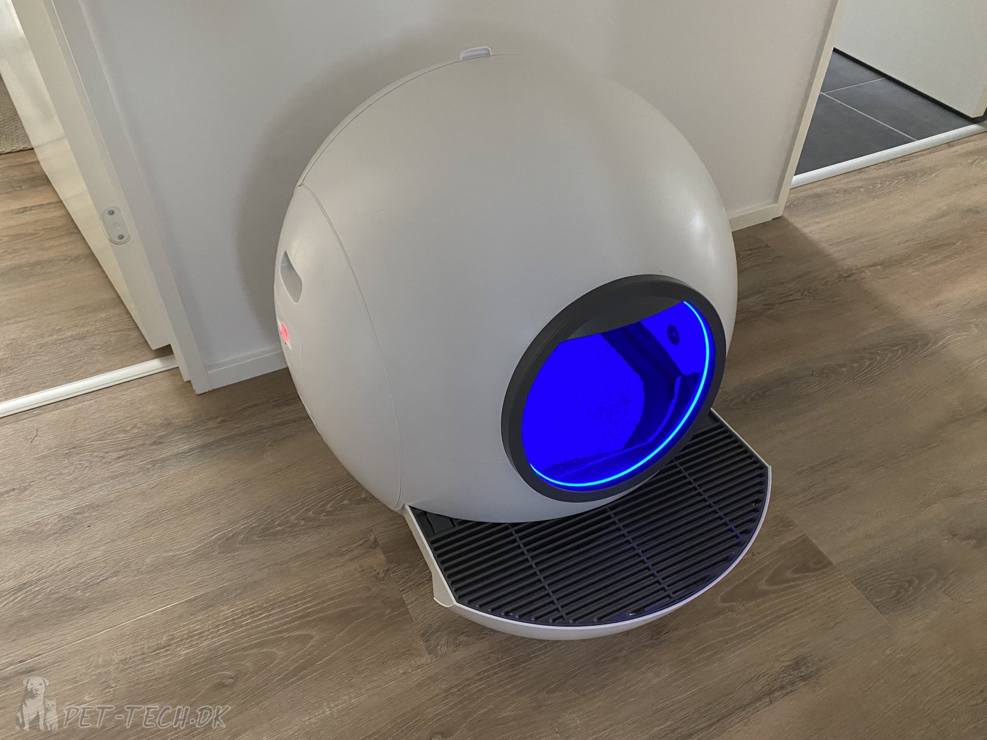 Stor Selvrensende Kattebakke