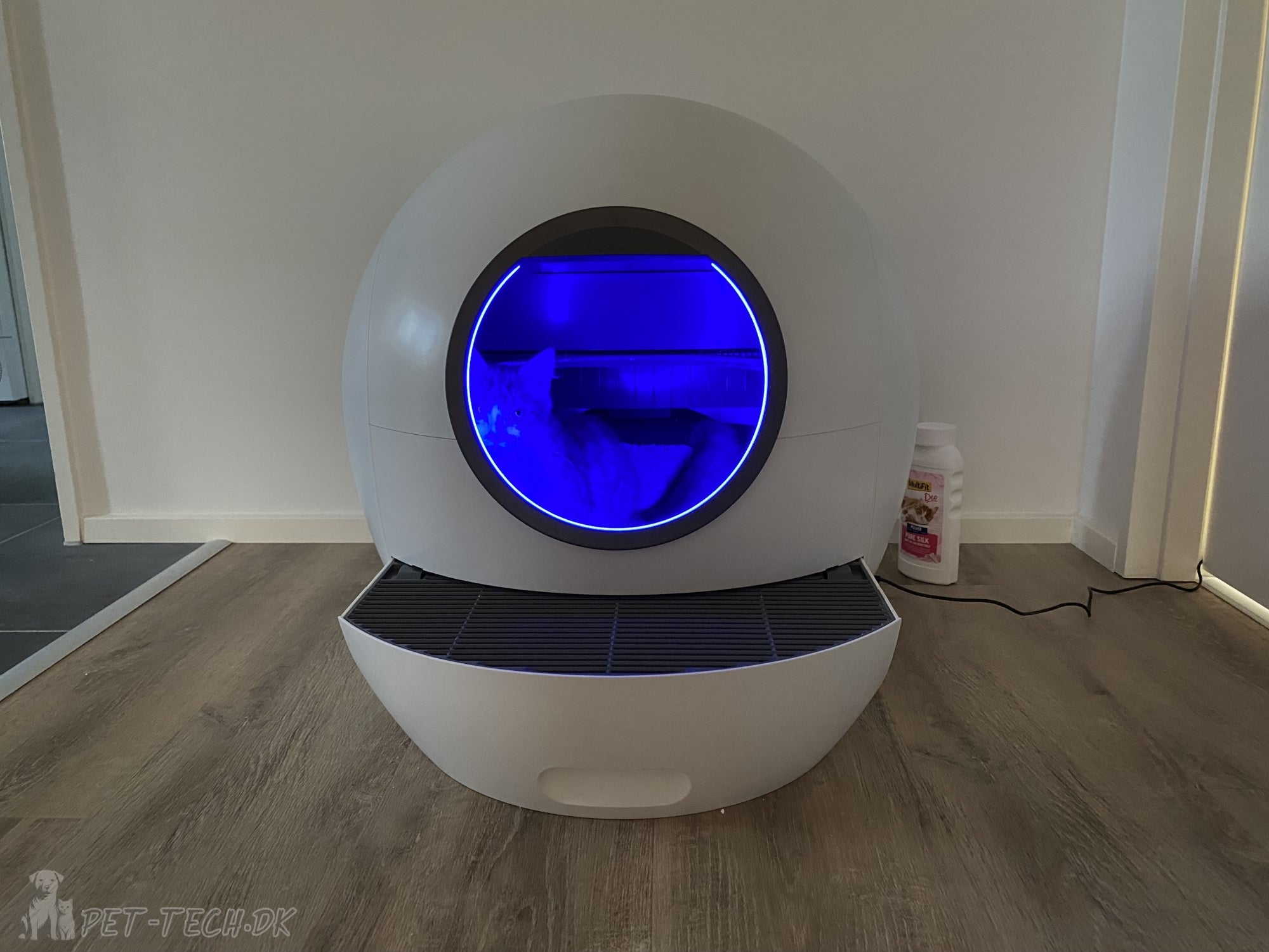 Stor Selvrensende Kattebakke