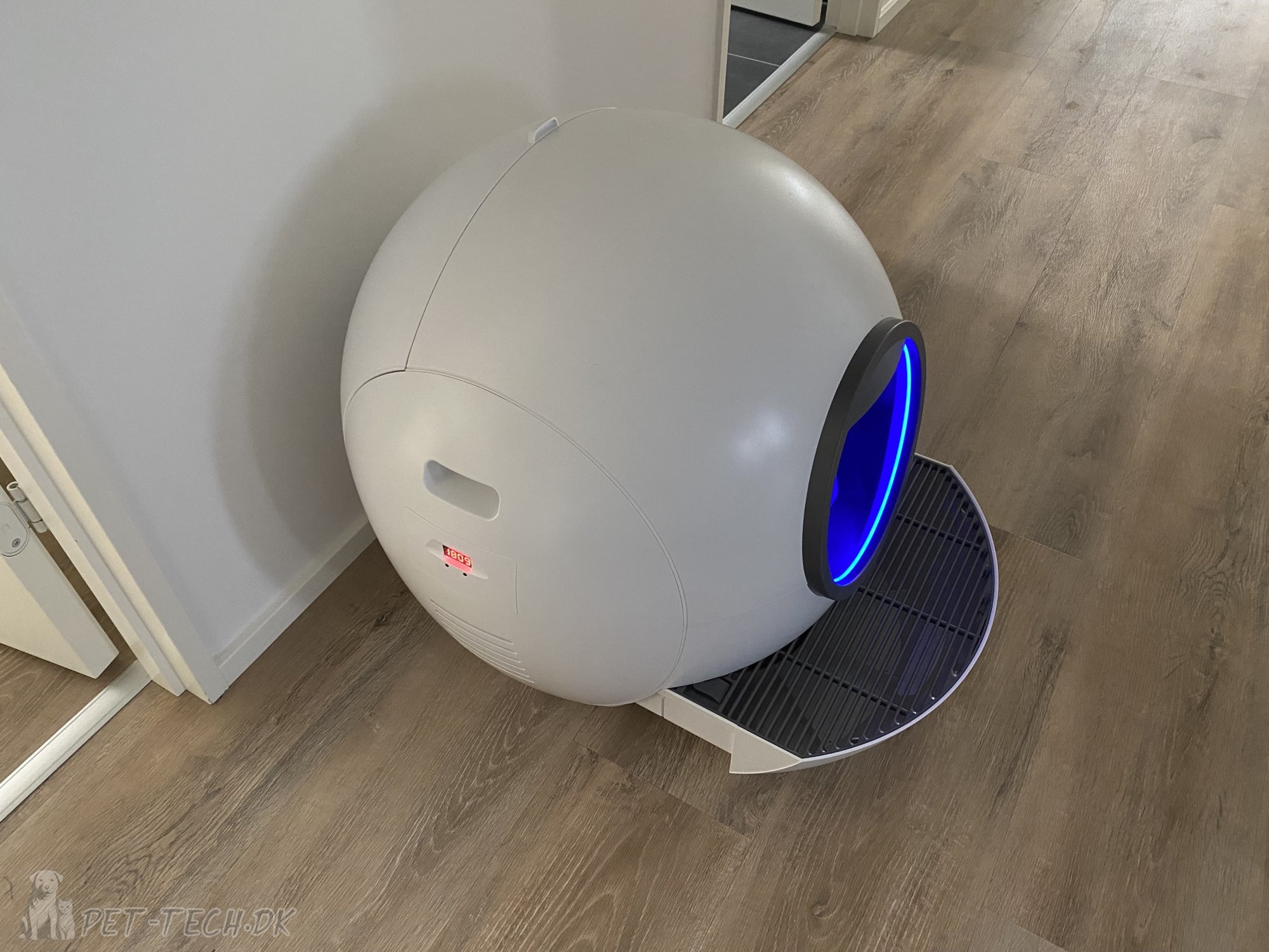 Stor Selvrensende Kattebakke