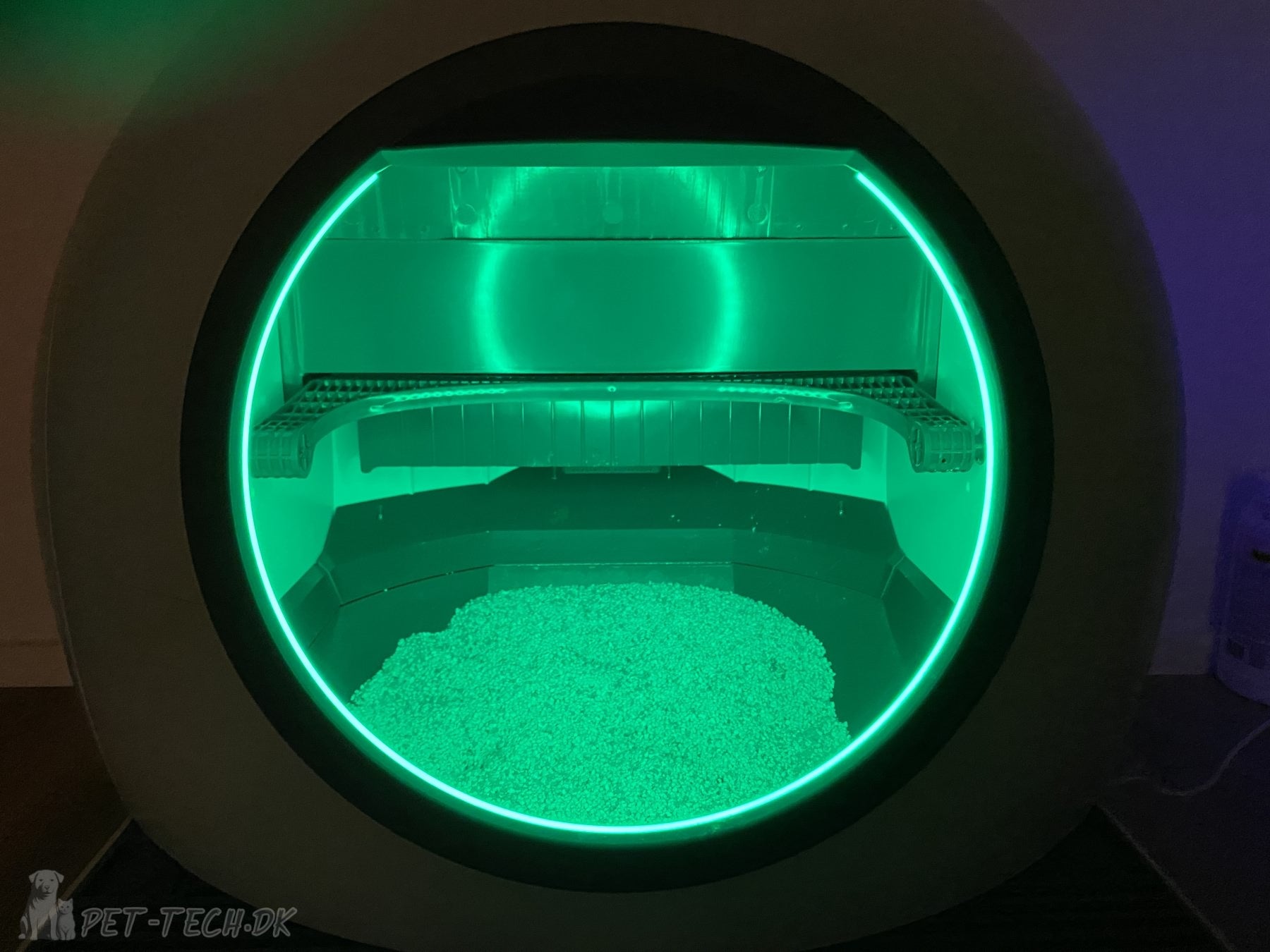 Stor Selvrensende Kattebakke