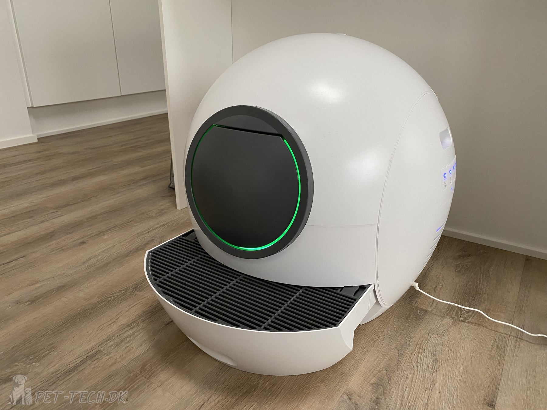 Stor Selvrensende Kattebakke