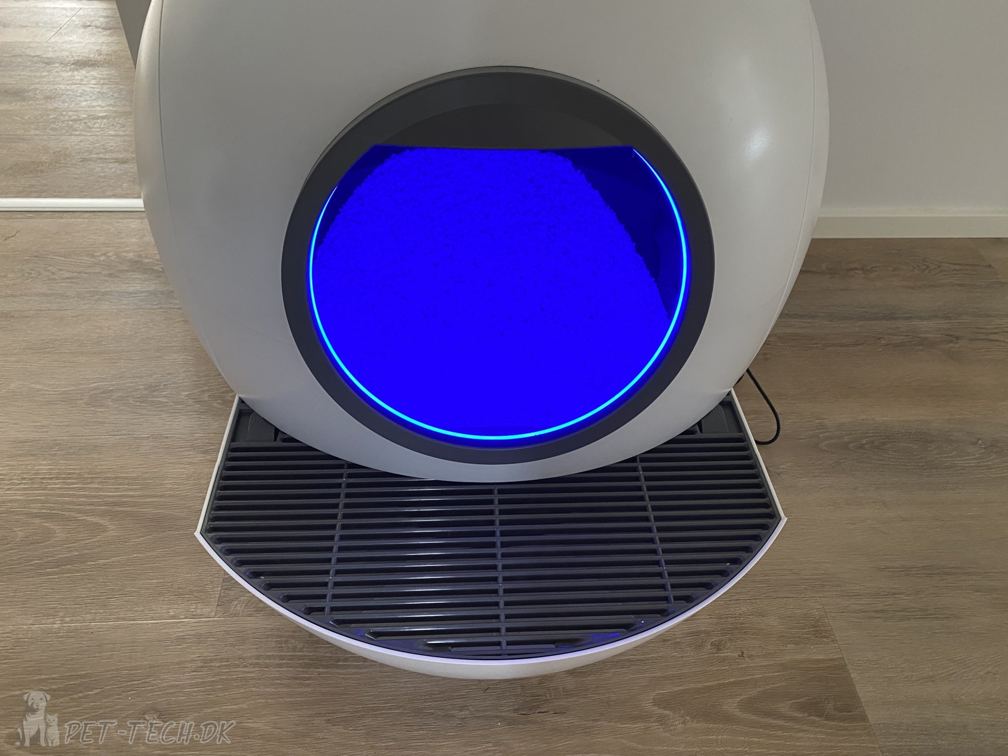 Stor Selvrensende Kattebakke