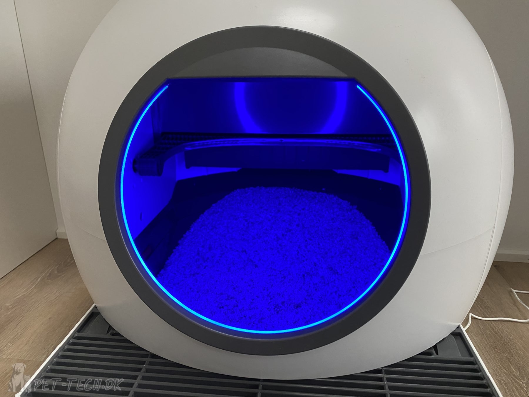 Stor Selvrensende Kattebakke