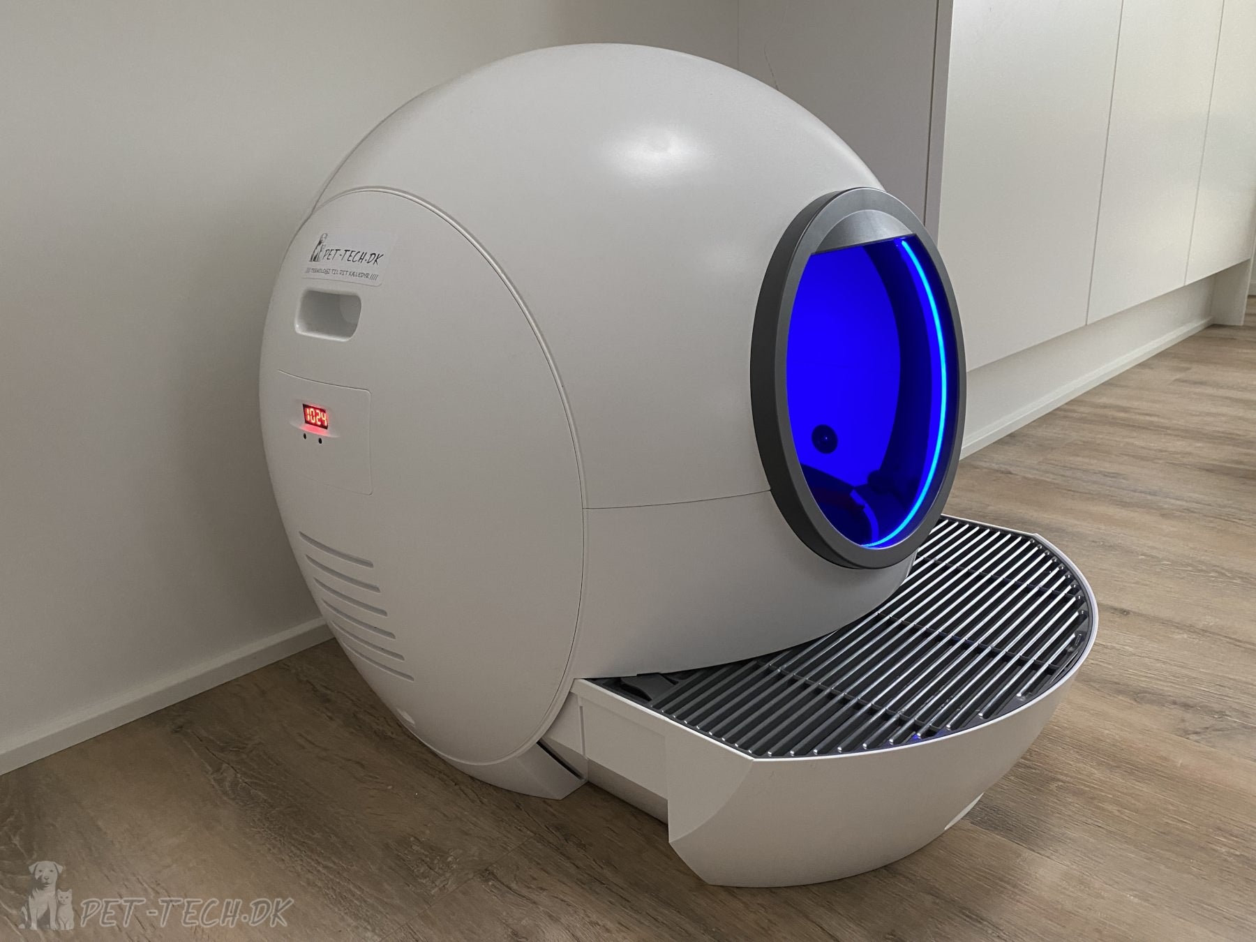 Stor Selvrensende Kattebakke