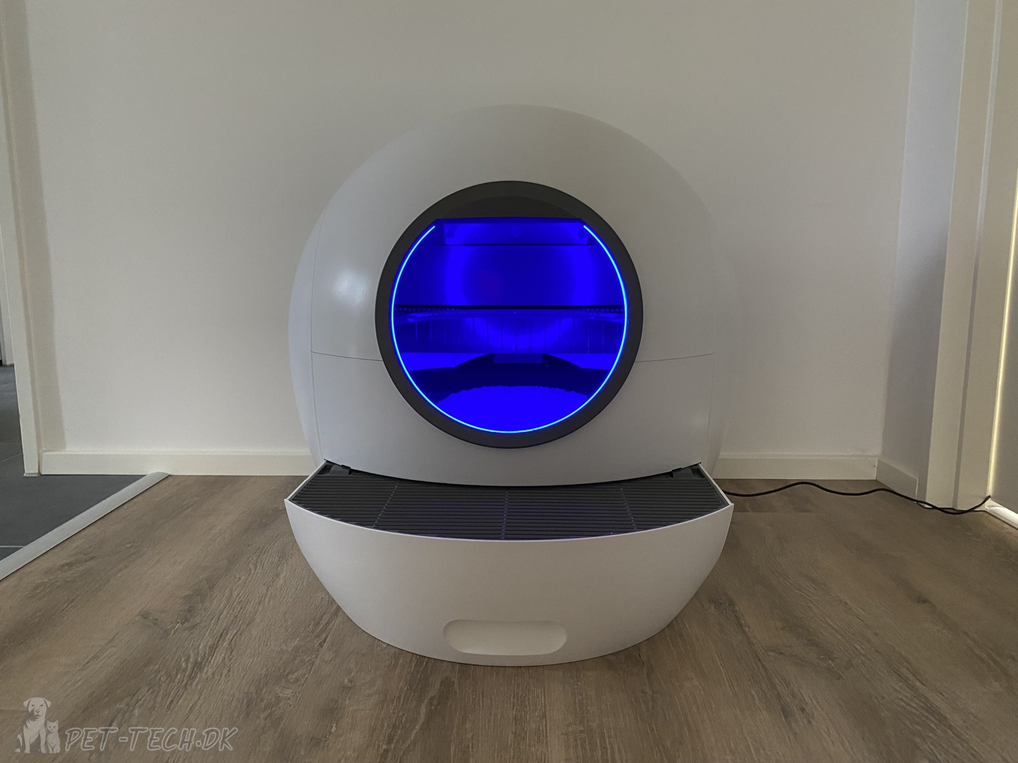 Stor Selvrensende Kattebakke