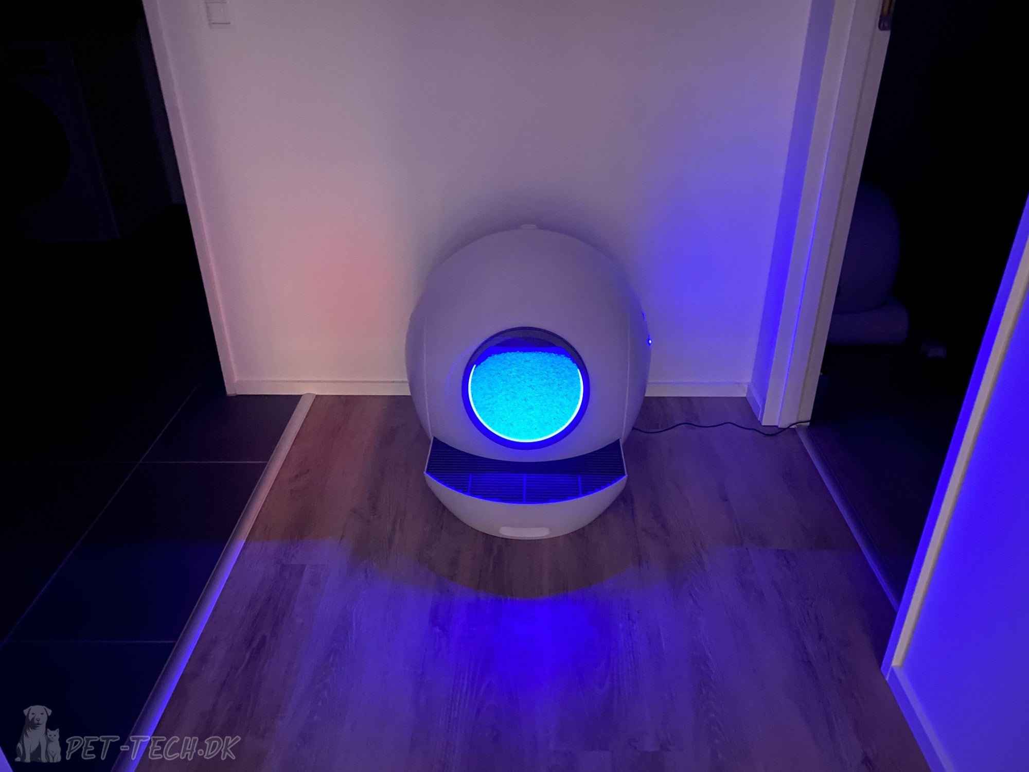 Stor Selvrensende Kattebakke