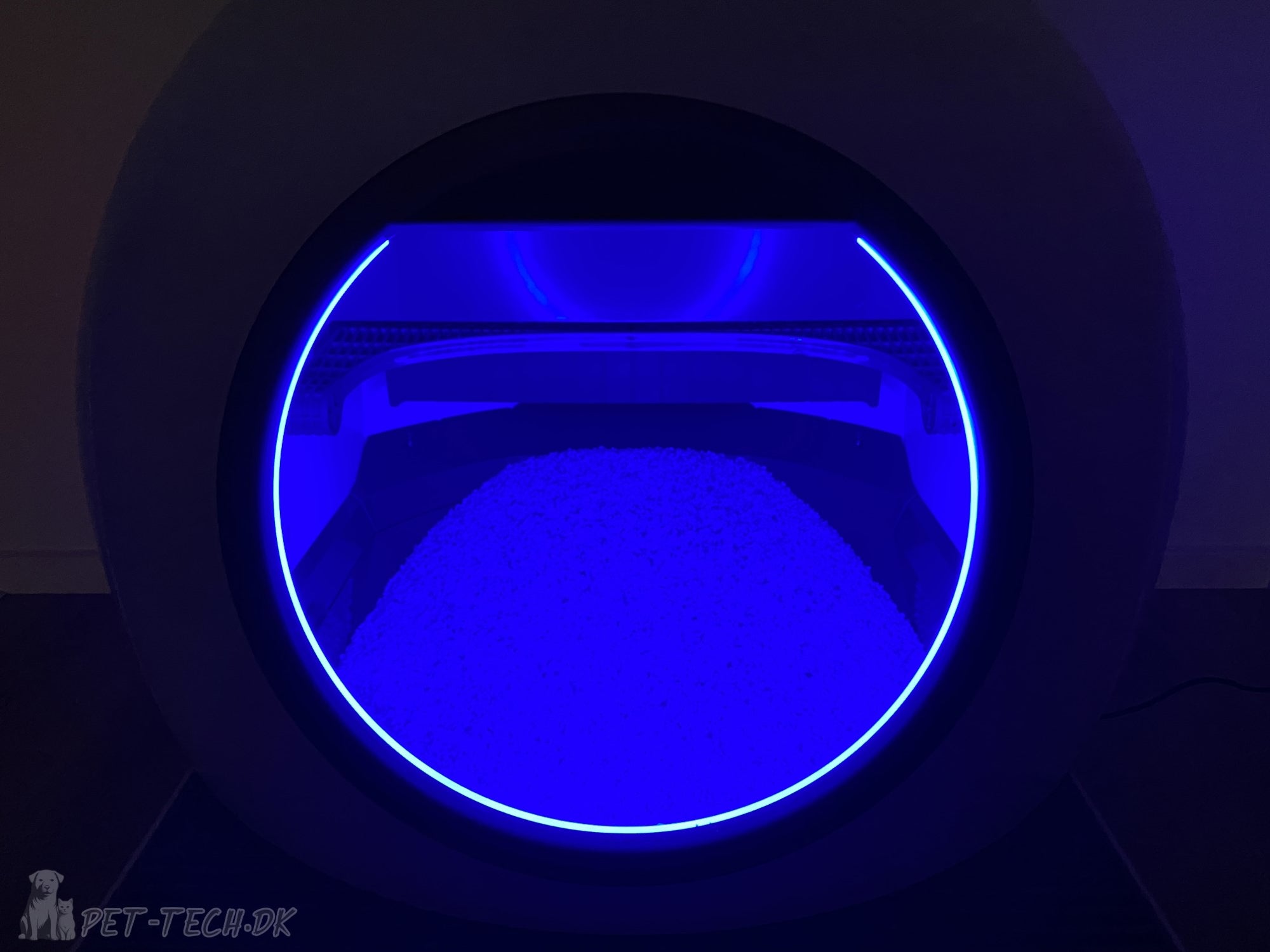 Stor Selvrensende Kattebakke