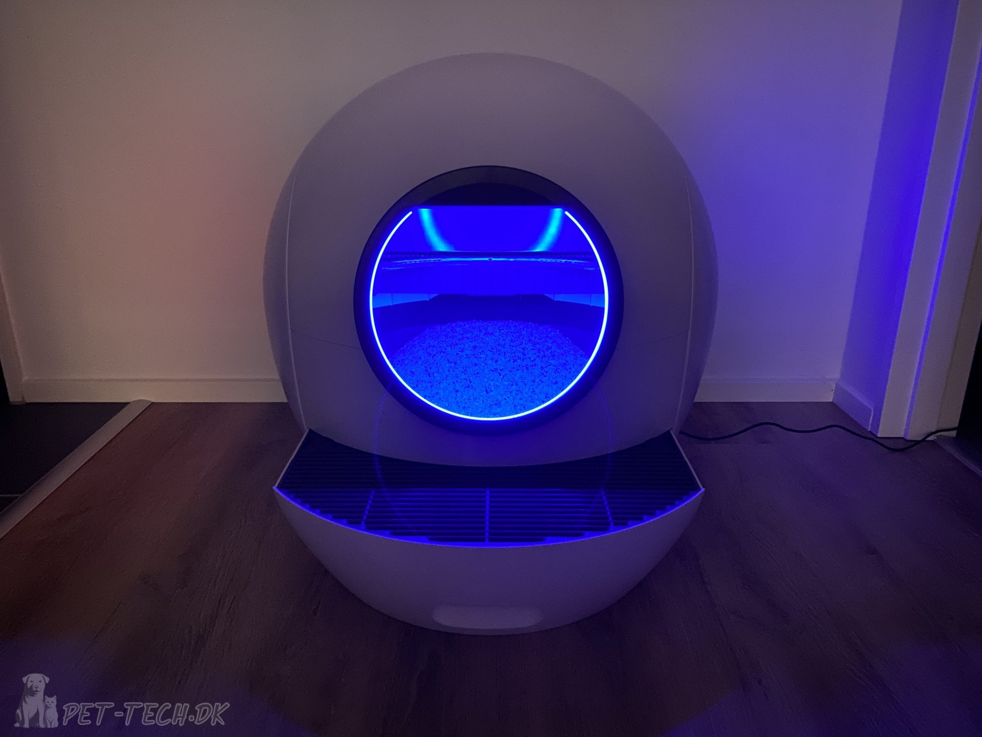 Stor Selvrensende Kattebakke