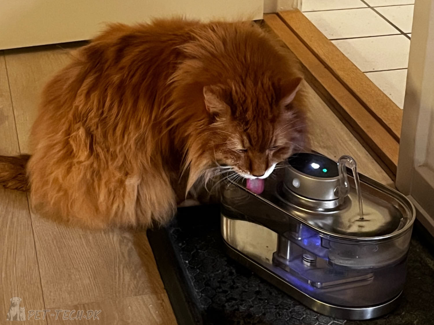 Svane Drikkefontæne Ledningsfri 3 liter