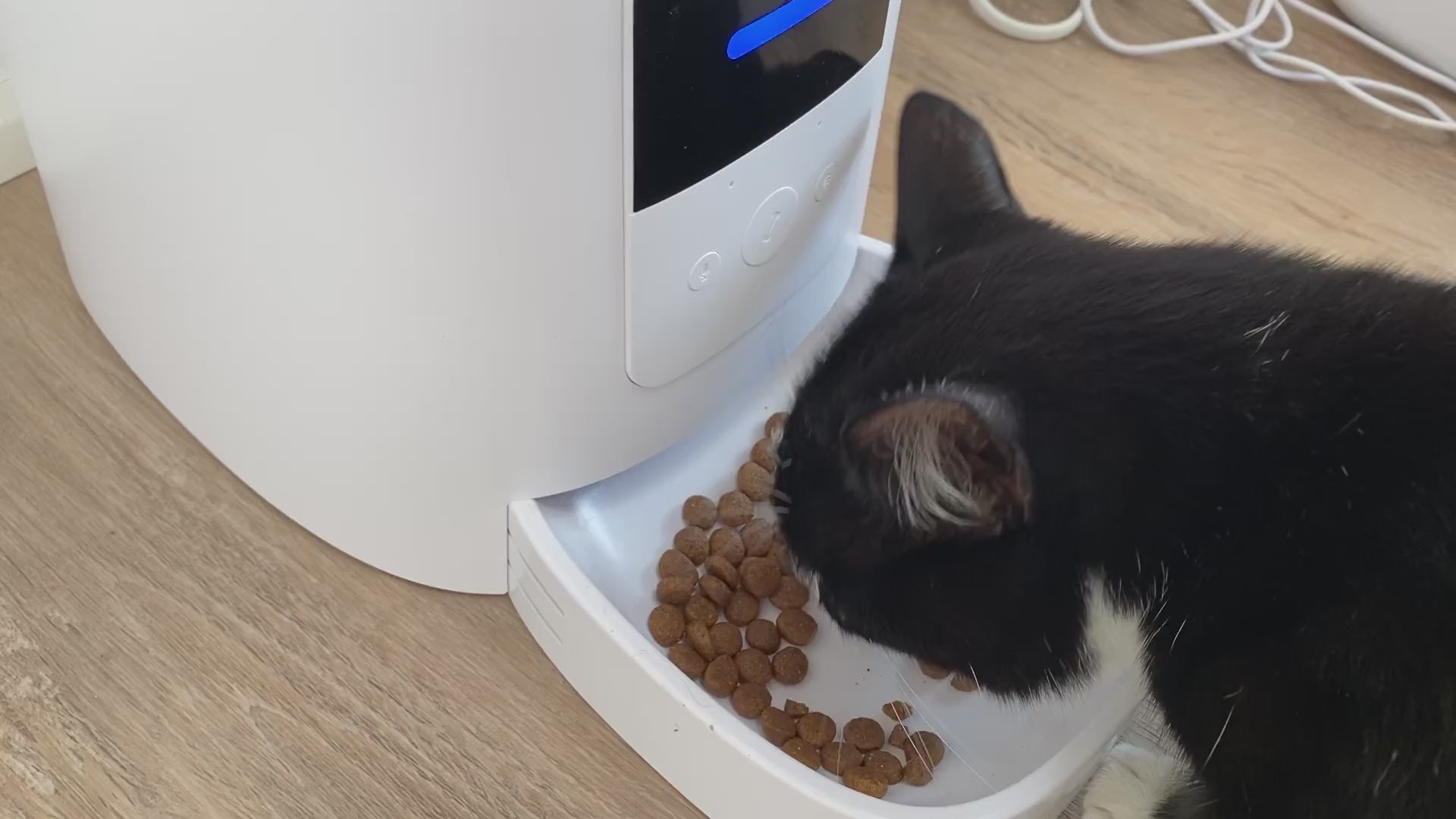 Luksus Foderautomat til Katte og Hunde