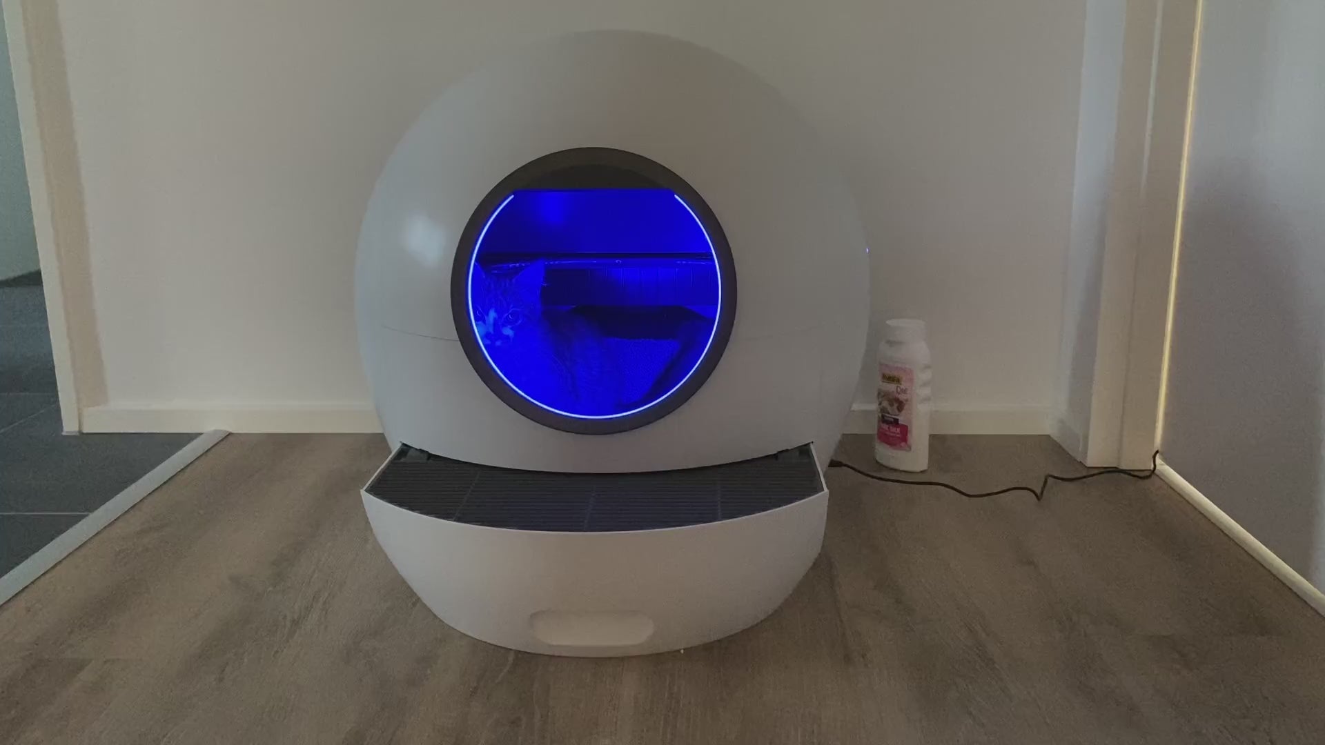 Katten går på toilet i den store selvrensende kattebakke