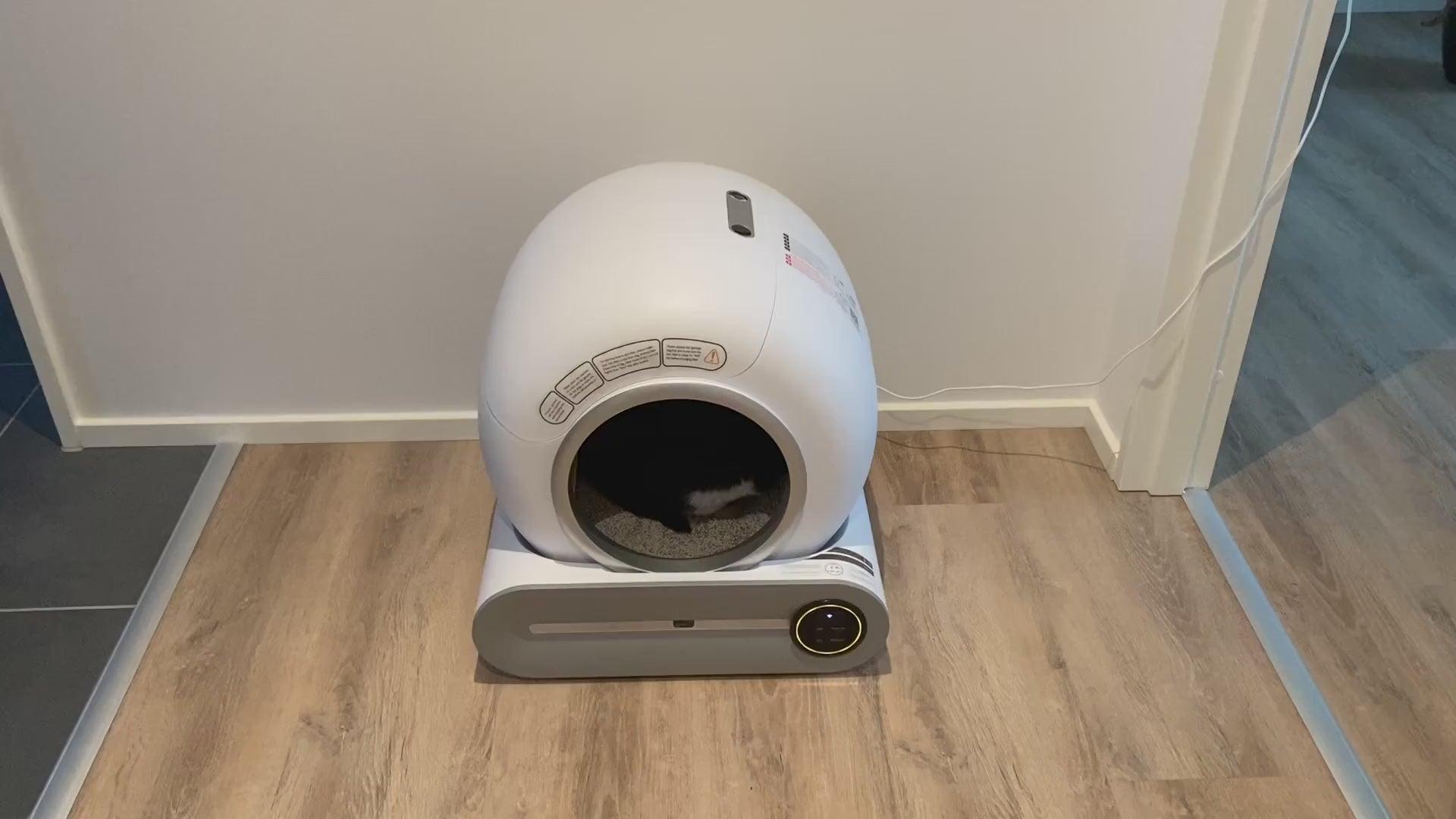 Selvrensende kattebakke - en kat er indeni og ved at tisse