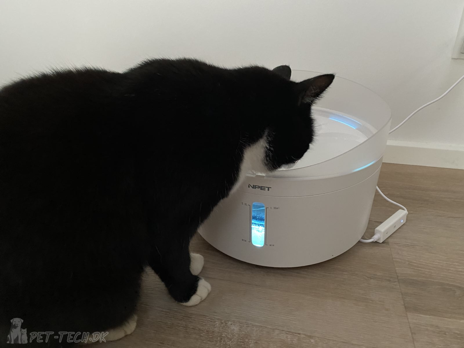 5L Drikkefontæne til Katte og Hunde - Bluelight