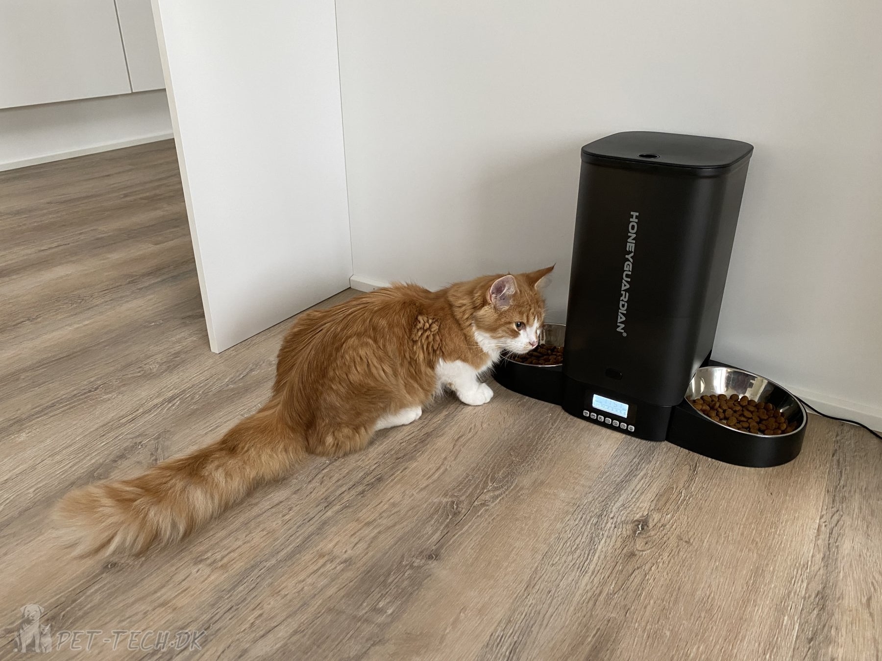 Foderautomat til katte og mindre hunde 5 liter - smart clean design