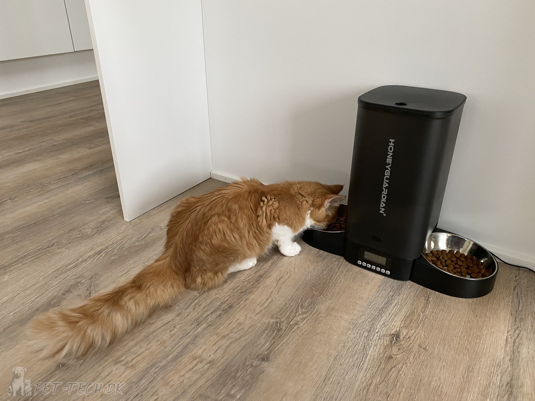 Foderautomat til katte og mindre hunde 5 liter - smart clean design