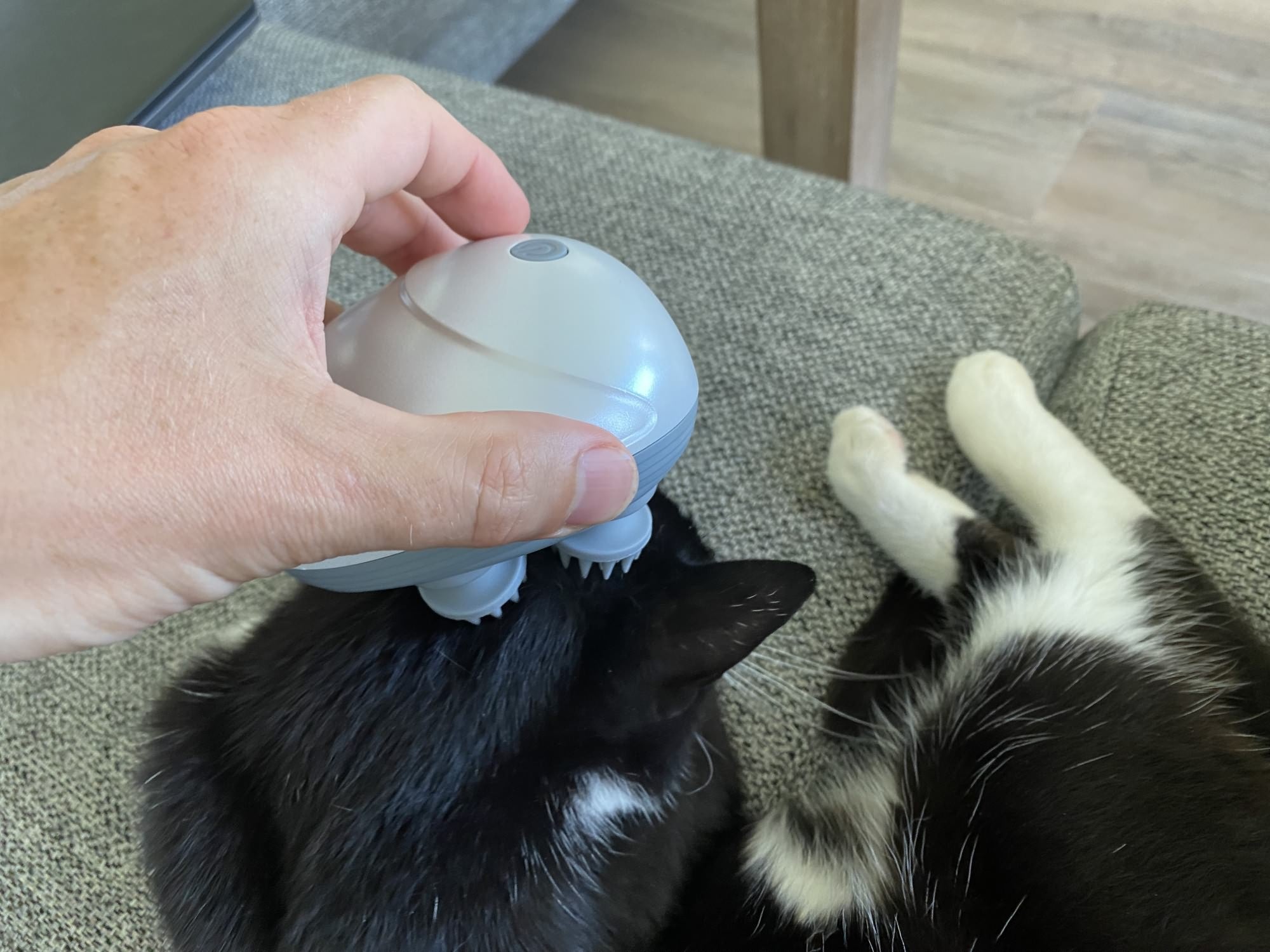 Smart elektrisk massage apparat til katte og hunde