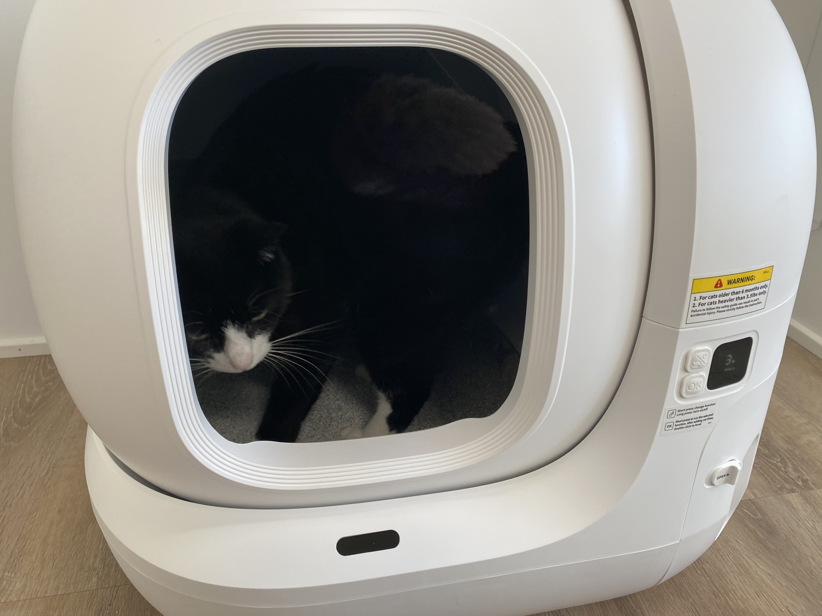 Kat inde i en selvrensende kattebakke