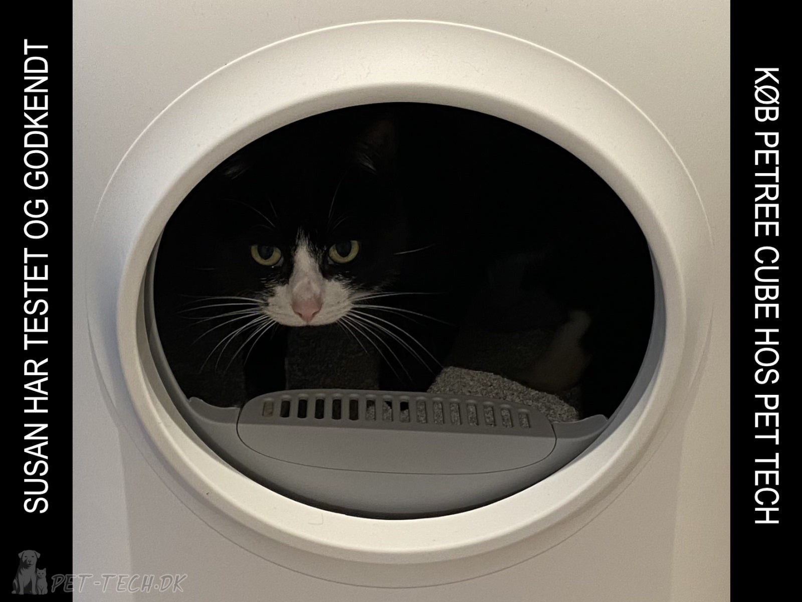 PETREE CUBE Selvrensende Kattebakke med en kat inden i