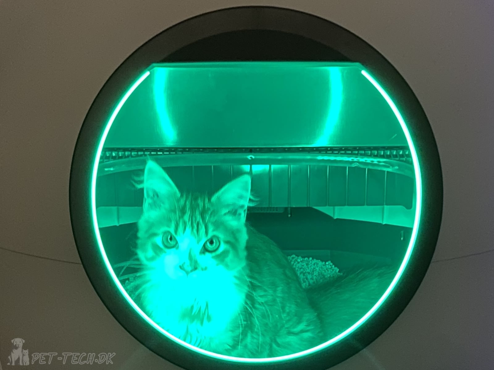 Stor Selvrensende Kattebakke med App og LED Belysning - Astropod PRO