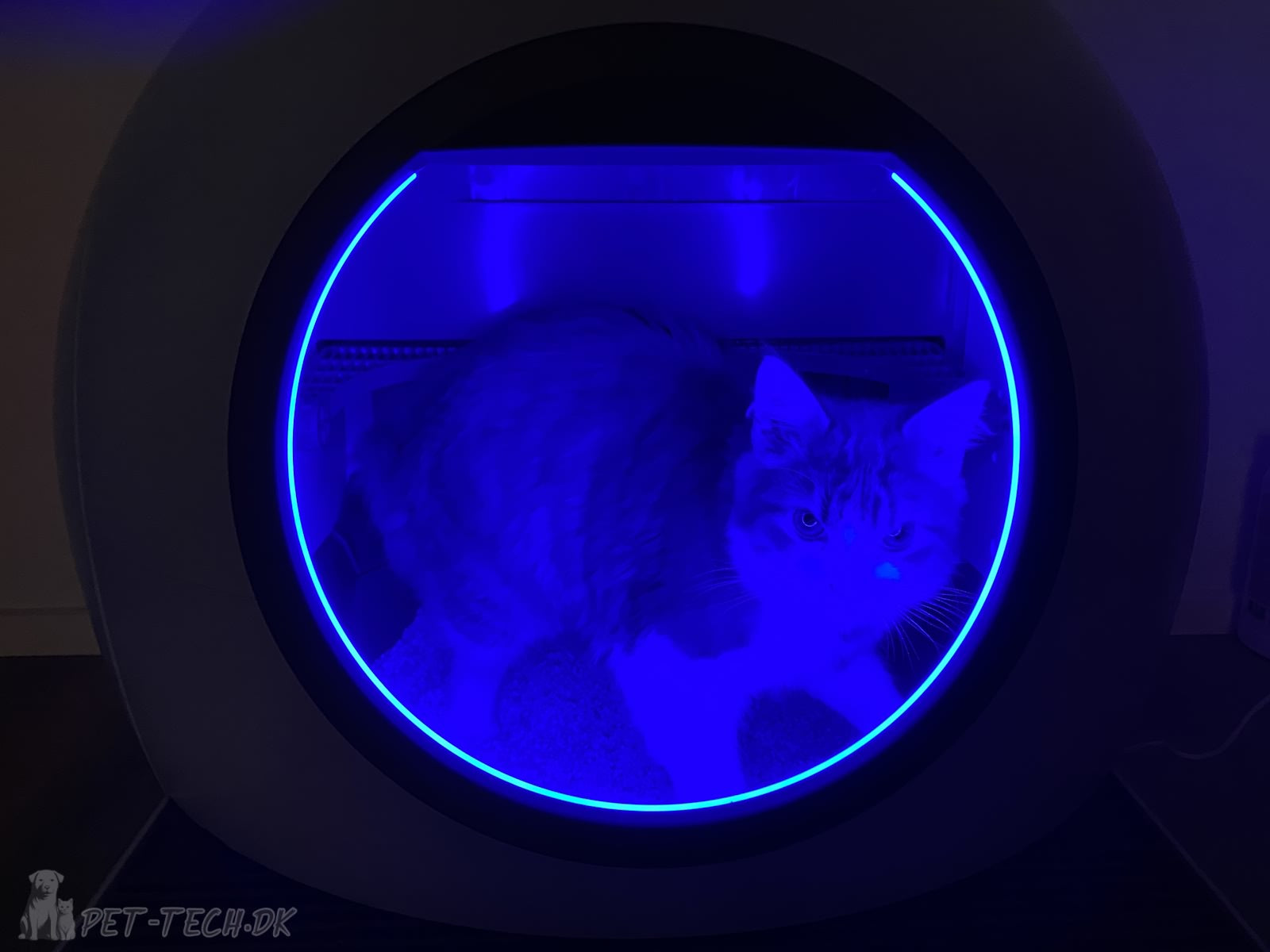 Stor Selvrensende Kattebakke med App og LED Belysning - Astropod PRO