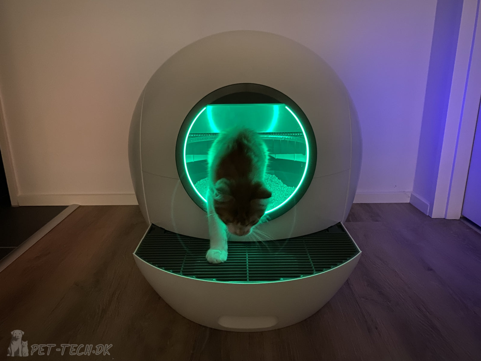 Stor selvrensende kattebakke