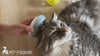 Kat får dejlig massage med massageapparat