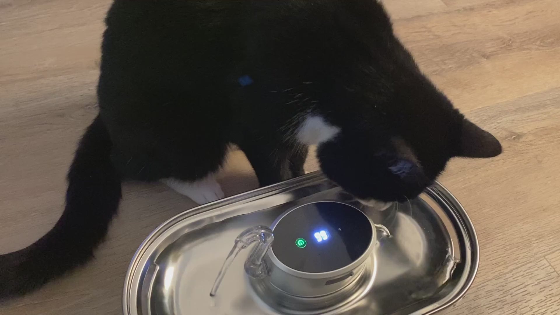 Svane Drikkefontæne Ledningsfri 3 liter