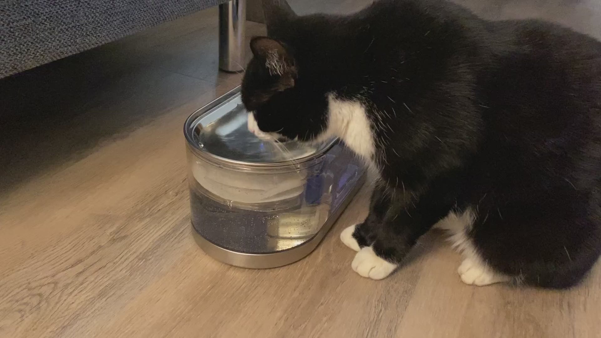 Stor ledningsfri drikkefontæne til katte og mindre hunde 3 liter