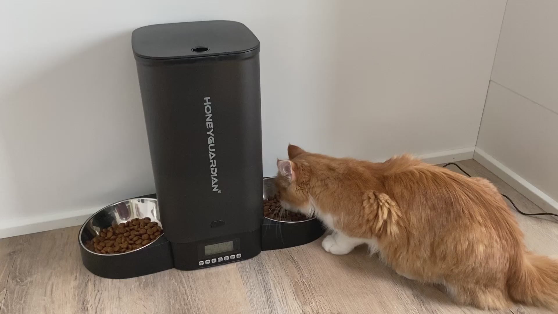 Foderautomat til katte og mindre hunde 5 liter - smart clean design