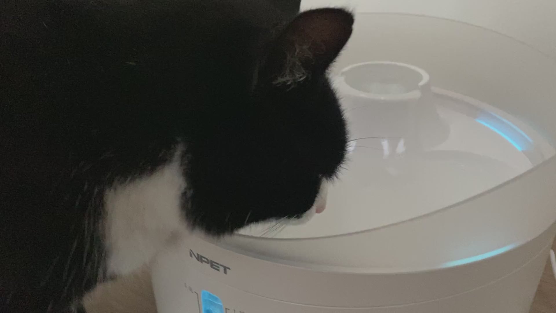 Stor flot 5 liter drikkefontæne til katte og hunde med lys og anti-splash visir